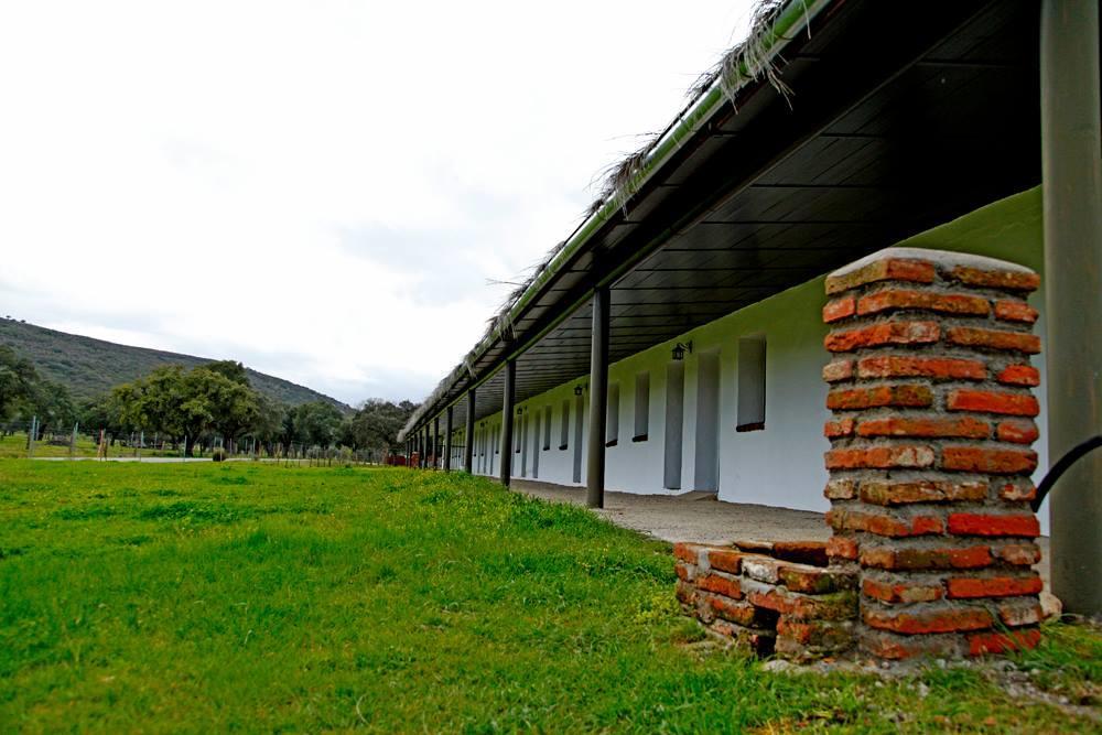 Hotel Rural Puerta De Monfrague Villarreal de San Carlos Exteriör bild